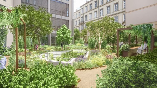 OV 66Vic - OV 66V - Cour Paysage